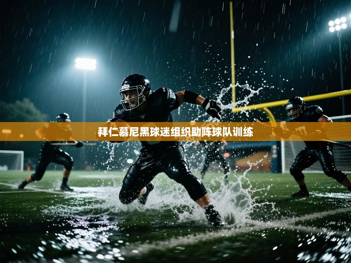 拜仁慕尼黑球迷组织助阵球队训练  第1张