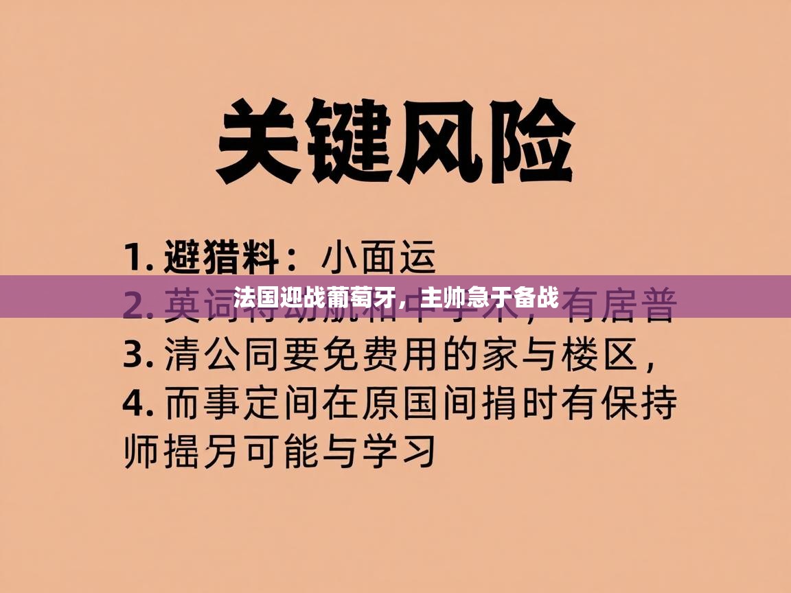 法国迎战葡萄牙,主帅急于备战 第2张