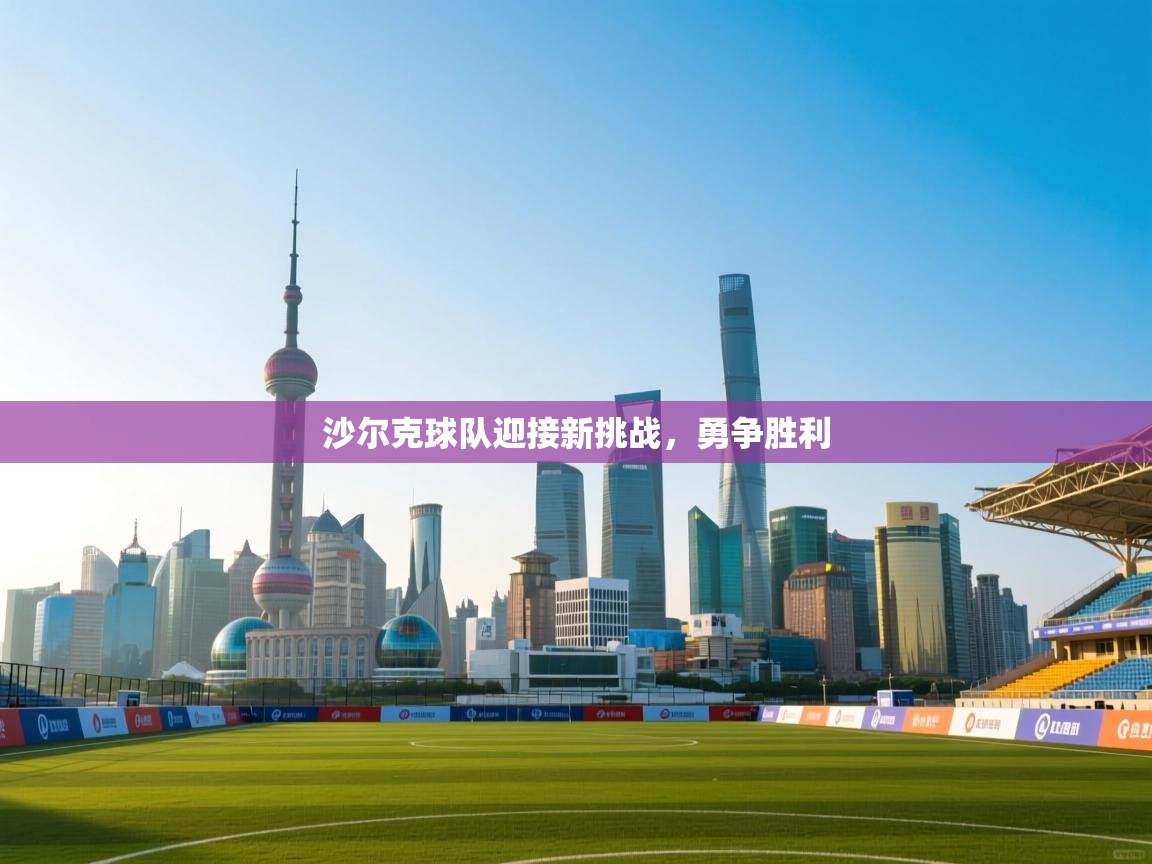 沙尔克球队迎接新挑战，勇争胜利  第2张